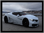 BMW M9