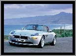 BMW Z8