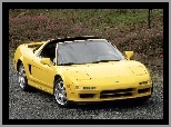 NSX TARGA