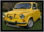 Park, Żółty, Abarth 600