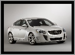 Reflektory, Buick Regal GS, Atrapa