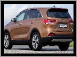 Eco Dynamics, Kia Sorento